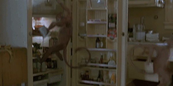Moving-Out-Tips-Fridge