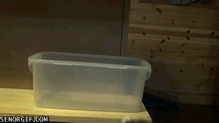 Moving-Out-Tips-Plastic